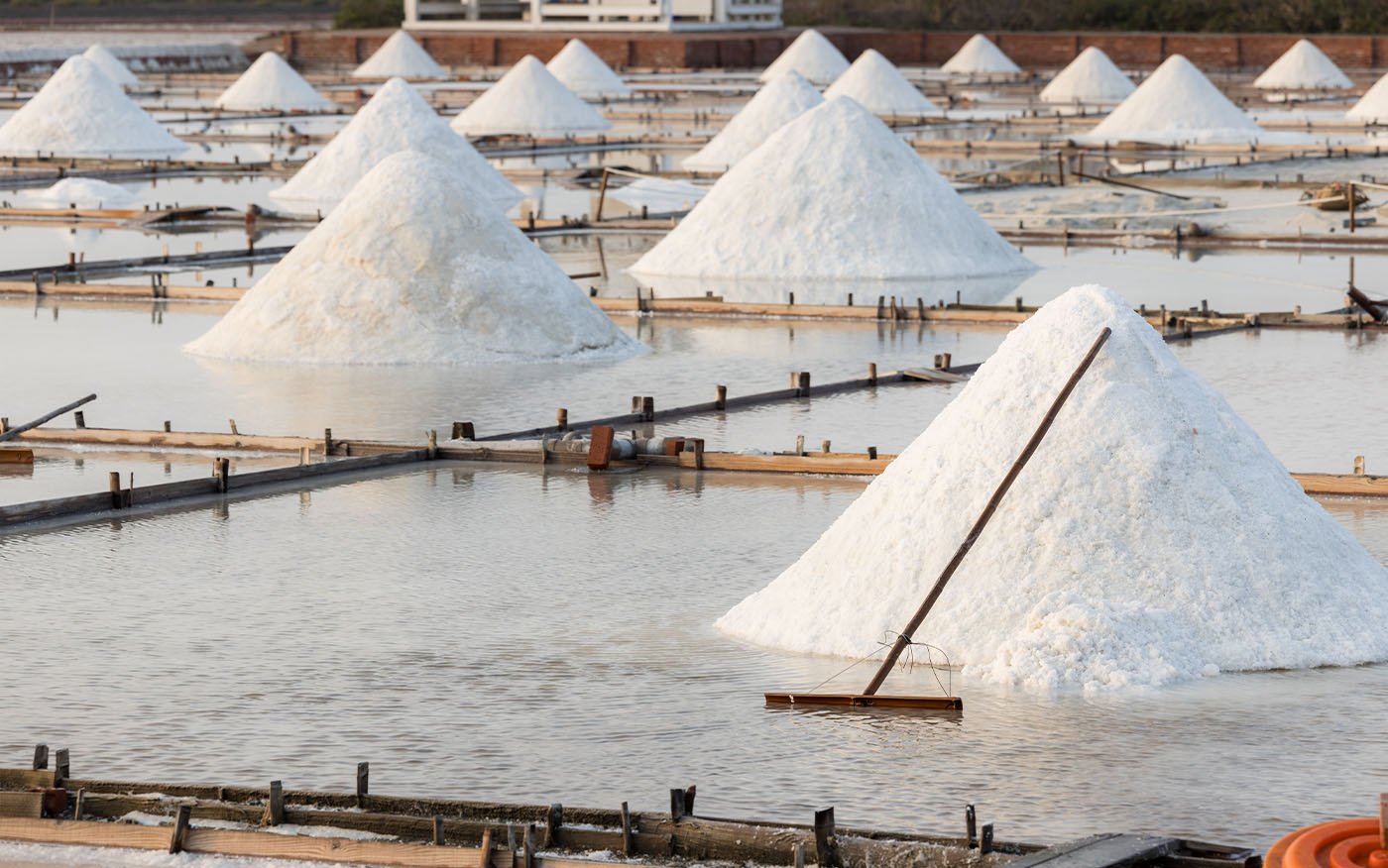 Washery Grade Salt for Industrial Applications